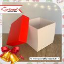 10x10x10 Cardboard Box with White Base and Red Cover