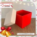 10x10x10 Cardboard Box with Red Base and White Cover
